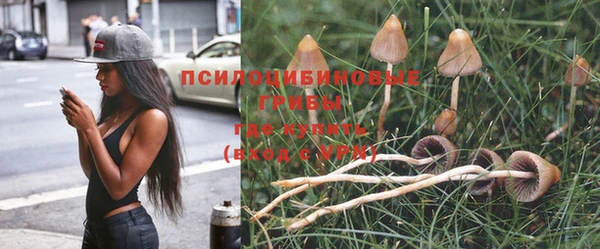 хмурый Абинск