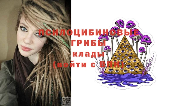 хмурый Абинск