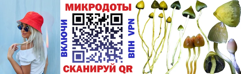 Галлюциногенные грибы Psilocybe OMG зеркало Емва